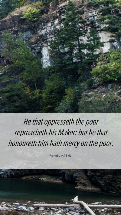 Picture 06 - Proverbs 14:31 KJV Mobile Phone Wallpaper - He that oppresseth the poor reproacheth his - Mobile Bible Verse Wallpaper