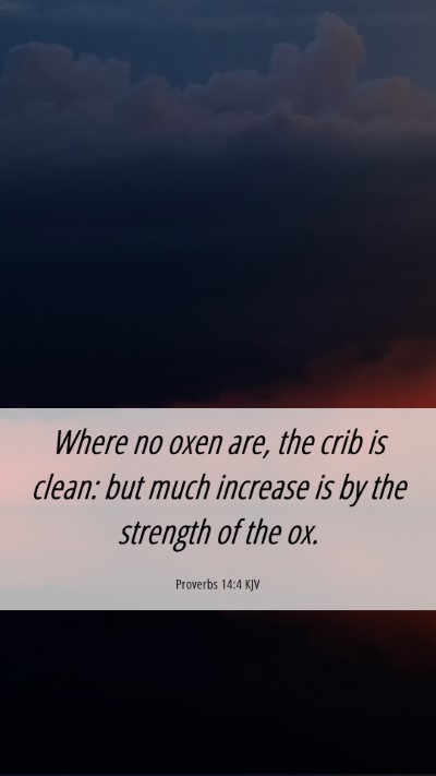 Picture 06 - Proverbs 14:4 KJV Mobile Phone Wallpaper - Where no oxen are, the crib is clean: but much - Mobile Bible Verse Wallpaper