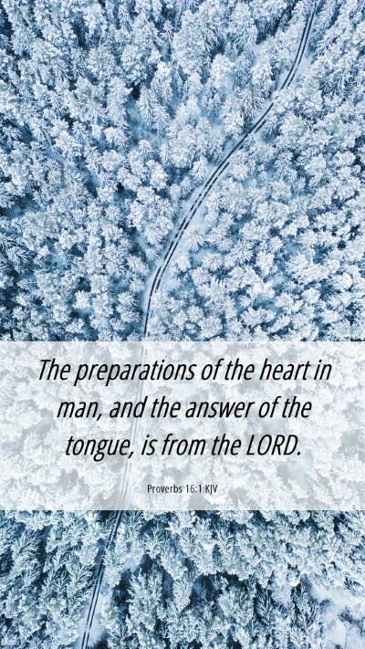 Picture 06 - Proverbs 16:1 KJV Mobile Phone Wallpaper - The preparations of the heart in man, and the - Mobile Bible Verse Wallpaper