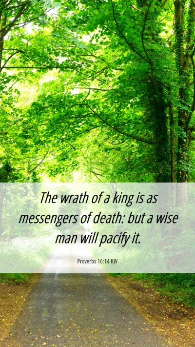 Picture 06 - Proverbs 16:14 KJV Mobile Phone Wallpaper - The wrath of a king is as messengers of death: - Mobile Bible Verse Wallpaper