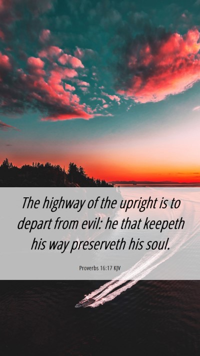 Picture 06 - Proverbs 16:17 KJV Mobile Phone Wallpaper - The highway of the upright is to depart from - Mobile Bible Verse Wallpaper
