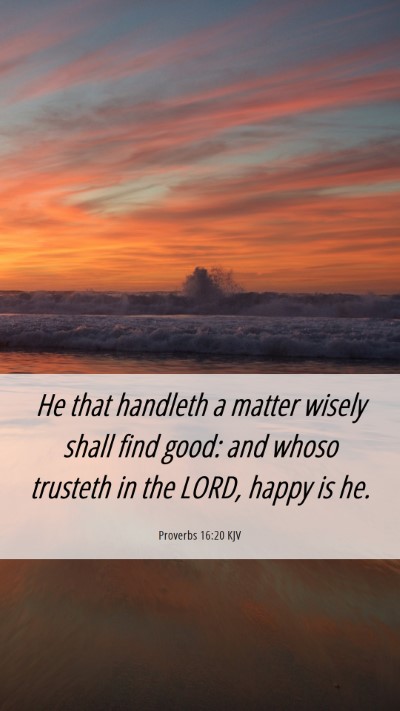 Picture 06 - Proverbs 16:20 KJV Mobile Phone Wallpaper - He that handleth a matter wisely shall find good: - Mobile Bible Verse Wallpaper