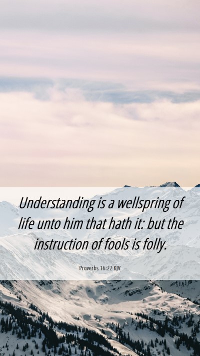 Picture 06 - Proverbs 16:22 KJV Mobile Phone Wallpaper - Understanding is a wellspring of life unto him - Mobile Bible Verse Wallpaper