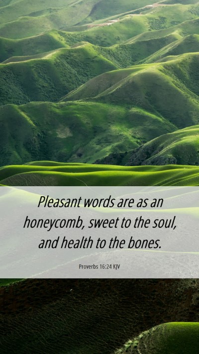 Picture 06 - Proverbs 16:24 KJV Mobile Phone Wallpaper - Pleasant words are as an honeycomb, sweet to the - Mobile Bible Verse Wallpaper