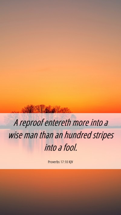 Picture 06 - Proverbs 17:10 KJV Mobile Phone Wallpaper - A reproof entereth more into a wise man than an - Mobile Bible Verse Wallpaper