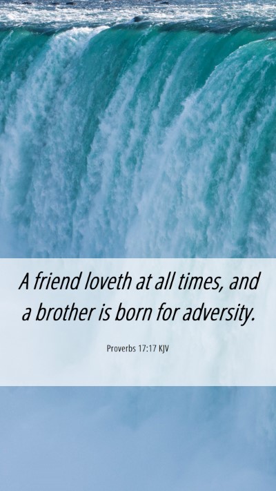 Picture 06 - Proverbs 17:17 KJV Mobile Phone Wallpaper - A friend loveth at all times, and a brother is - Mobile Bible Verse Wallpaper