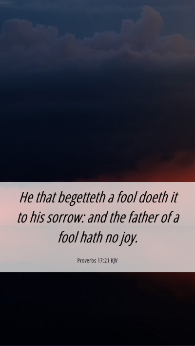 Picture 06 - Proverbs 17:21 KJV Mobile Phone Wallpaper - He that begetteth a fool doeth it to his sorrow: - Mobile Bible Verse Wallpaper