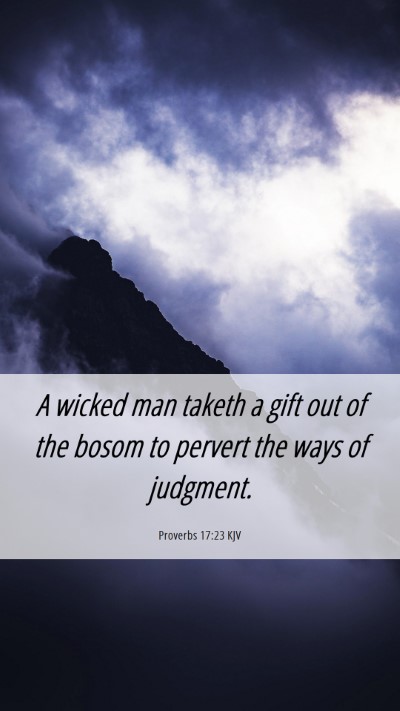 Picture 06 - Proverbs 17:23 KJV Mobile Phone Wallpaper - A wicked man taketh a gift out of the bosom to - Mobile Bible Verse Wallpaper