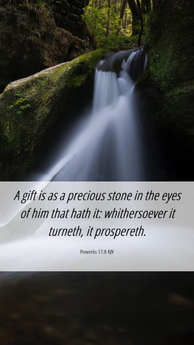 Picture 06 - Proverbs 17:8 KJV Mobile Phone Wallpaper - A gift is as a precious stone in the eyes of him - Mobile Bible Verse Wallpaper