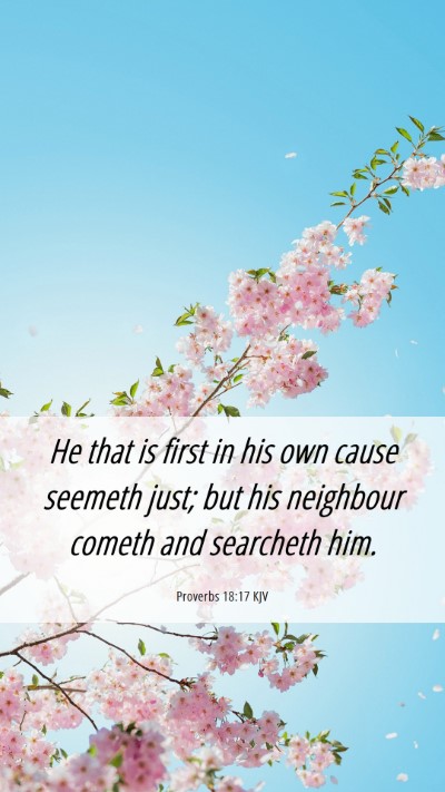 Picture 06 - Proverbs 18:17 KJV Mobile Phone Wallpaper - He that is first in his own cause seemeth just; - Mobile Bible Verse Wallpaper