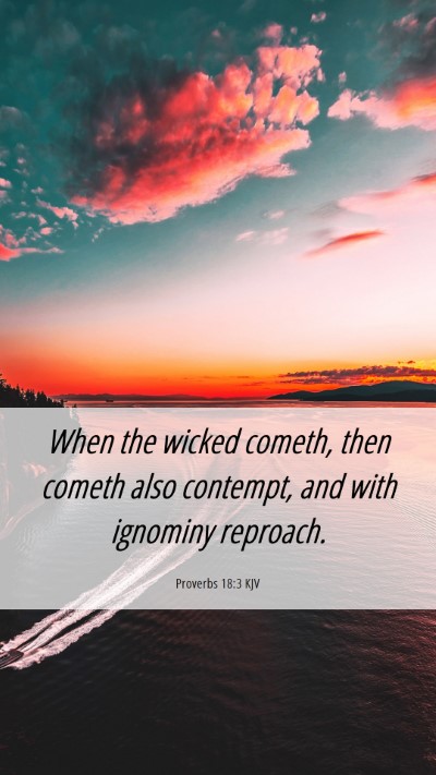 Picture 06 - Proverbs 18:3 KJV Mobile Phone Wallpaper - When the wicked cometh, then cometh also - Mobile Bible Verse Wallpaper