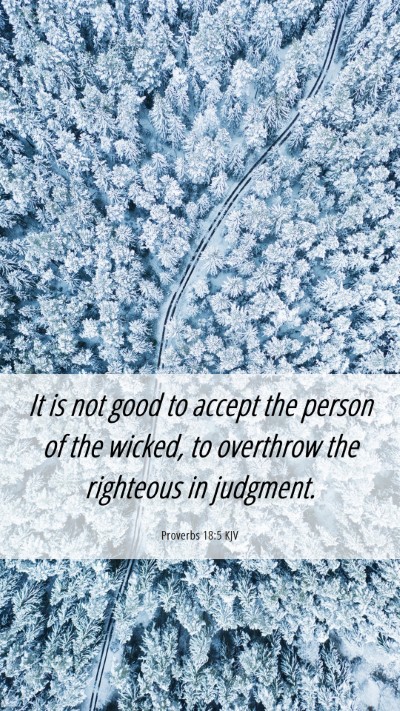 Picture 06 - Proverbs 18:5 KJV Mobile Phone Wallpaper - It is not good to accept the person of the - Mobile Bible Verse Wallpaper