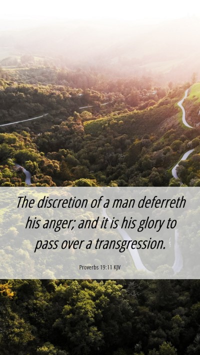 Picture 06 - Proverbs 19:11 KJV Mobile Phone Wallpaper - The discretion of a man deferreth his anger; and - Mobile Bible Verse Wallpaper