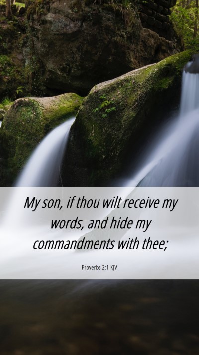 Picture 06 - Proverbs 2:1 KJV Mobile Phone Wallpaper - My son, if thou wilt receive my words, and hide - Mobile Bible Verse Wallpaper