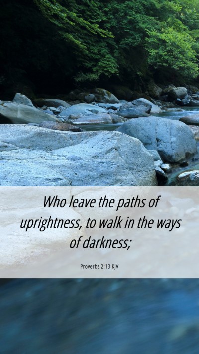 Picture 06 - Proverbs 2:13 KJV Mobile Phone Wallpaper - Who leave the paths of uprightness, to walk in - Mobile Bible Verse Wallpaper