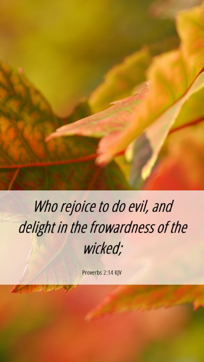 Picture 06 - Proverbs 2:14 KJV Mobile Phone Wallpaper - Who rejoice to do evil, and delight in the - Mobile Bible Verse Wallpaper