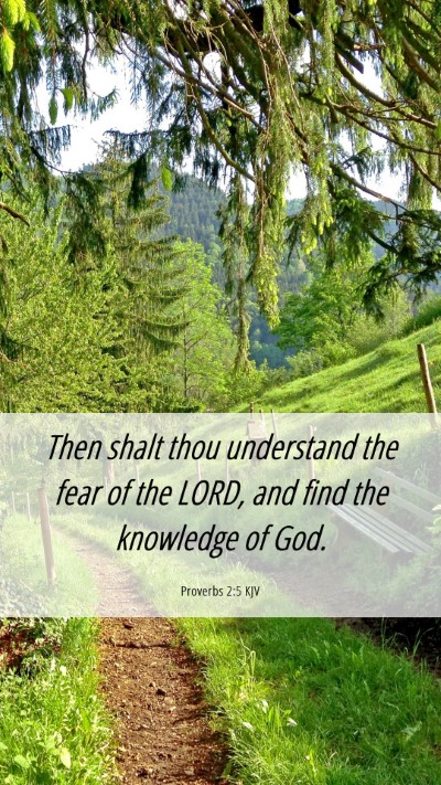 Picture 06 - Proverbs 2:5 KJV Mobile Phone Wallpaper - Then shalt thou understand the fear of the LORD, - Mobile Bible Verse Wallpaper