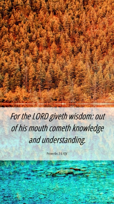 Picture 06 - Proverbs 2:6 KJV Mobile Phone Wallpaper - For the LORD giveth wisdom: out of his mouth - Mobile Bible Verse Wallpaper