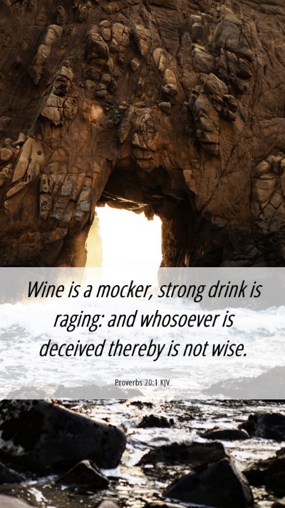 Picture 06 - Proverbs 20:1 KJV Mobile Phone Wallpaper - Wine is a mocker, strong drink is raging: and - Mobile Bible Verse Wallpaper