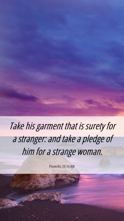 Picture 06 - Proverbs 20:16 KJV Mobile Phone Wallpaper - Take his garment that is surety for a stranger: - Mobile Bible Verse Wallpaper