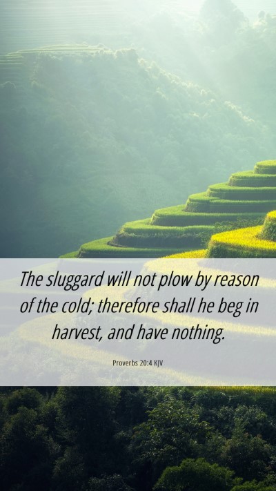 Picture 06 - Proverbs 20:4 KJV Mobile Phone Wallpaper - The sluggard will not plow by reason of the cold; - Mobile Bible Verse Wallpaper