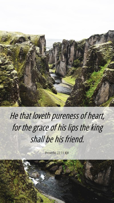 Picture 06 - Proverbs 22:11 KJV Mobile Phone Wallpaper - He that loveth pureness of heart, for the grace - Mobile Bible Verse Wallpaper