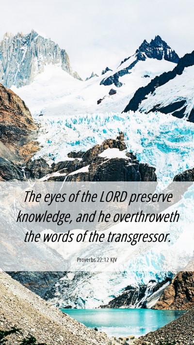 Picture 06 - Proverbs 22:12 KJV Mobile Phone Wallpaper - The eyes of the LORD preserve knowledge, and he - Mobile Bible Verse Wallpaper