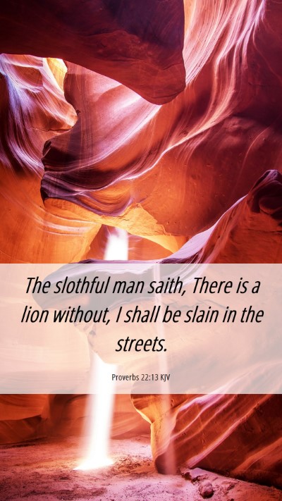 Picture 06 - Proverbs 22:13 KJV Mobile Phone Wallpaper - The slothful man saith, There is a lion without, - Mobile Bible Verse Wallpaper