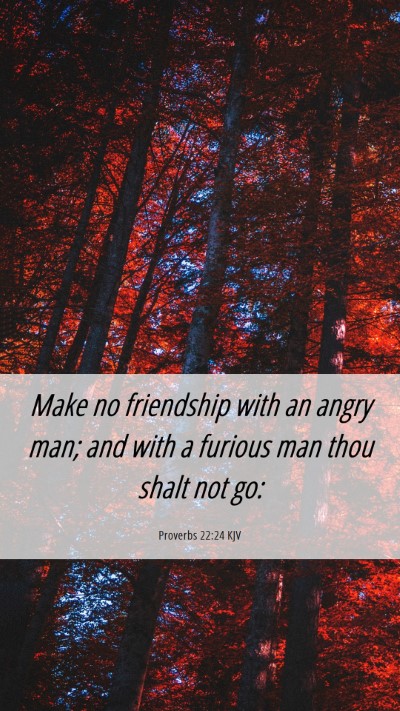 Picture 06 - Proverbs 22:24 KJV Mobile Phone Wallpaper - Make no friendship with an angry man; and with a - Mobile Bible Verse Wallpaper