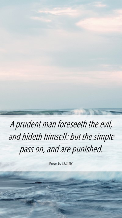 Picture 06 - Proverbs 22:3 KJV Mobile Phone Wallpaper - A prudent man foreseeth the evil, and hideth - Mobile Bible Verse Wallpaper