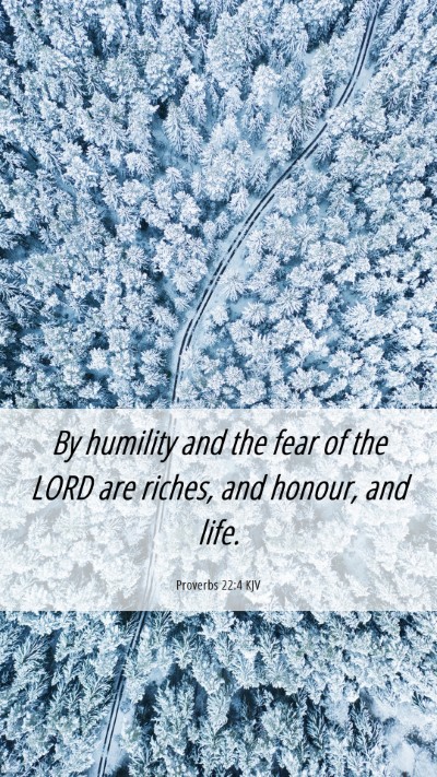 Picture 06 - Proverbs 22:4 KJV Mobile Phone Wallpaper - By humility and the fear of the LORD are riches, - Mobile Bible Verse Wallpaper
