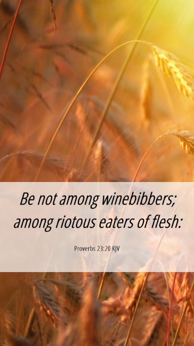 Picture 06 - Proverbs 23:20 KJV Mobile Phone Wallpaper - Be not among winebibbers; among riotous eaters of - Mobile Bible Verse Wallpaper