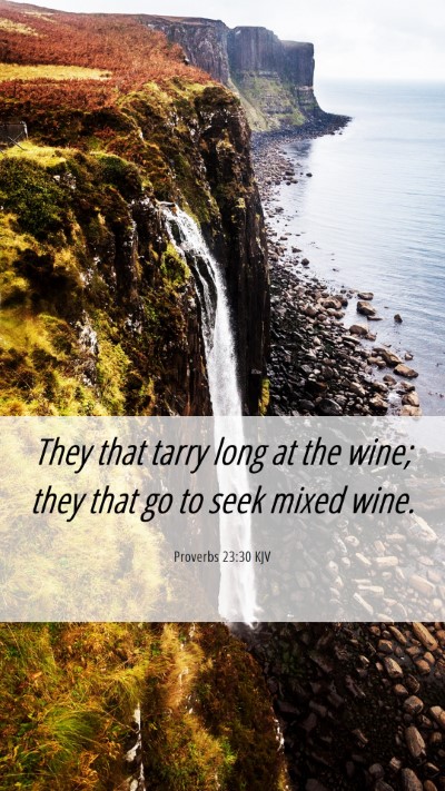 Picture 06 - Proverbs 23:30 KJV Mobile Phone Wallpaper - They that tarry long at the wine; they that go to - Mobile Bible Verse Wallpaper