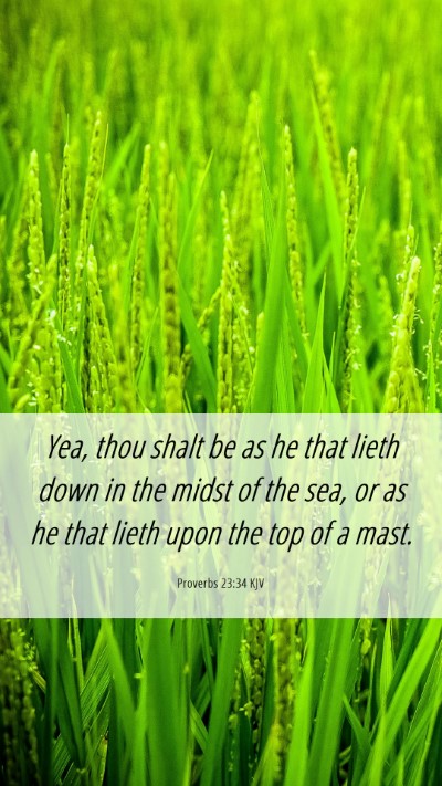 Picture 06 - Proverbs 23:34 KJV Mobile Phone Wallpaper - Yea, thou shalt be as he that lieth down in the - Mobile Bible Verse Wallpaper