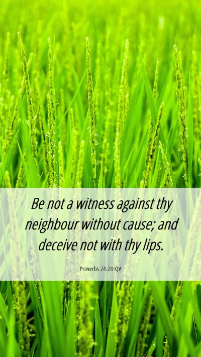 Picture 06 - Proverbs 24:28 KJV Mobile Phone Wallpaper - Be not a witness against thy neighbour without - Mobile Bible Verse Wallpaper