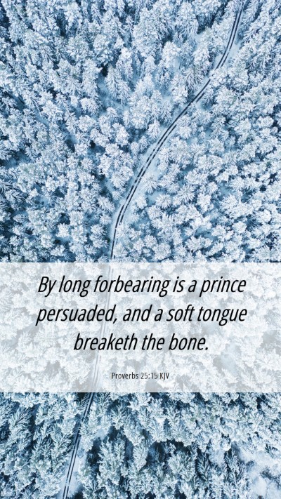 Picture 06 - Proverbs 25:15 KJV Mobile Phone Wallpaper - By long forbearing is a prince persuaded, and a - Mobile Bible Verse Wallpaper