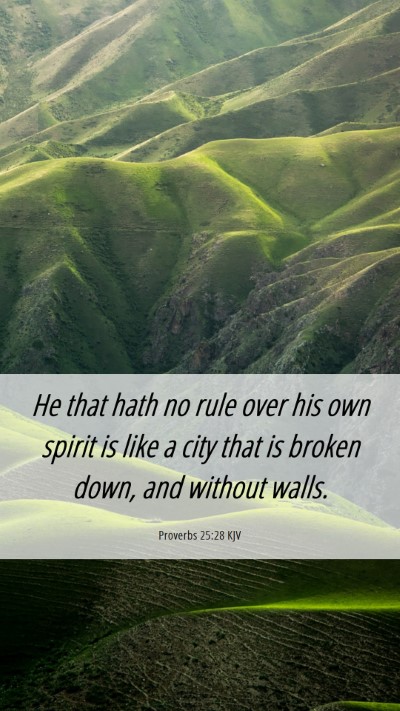 Picture 06 - Proverbs 25:28 KJV Mobile Phone Wallpaper - He that hath no rule over his own spirit is like - Mobile Bible Verse Wallpaper