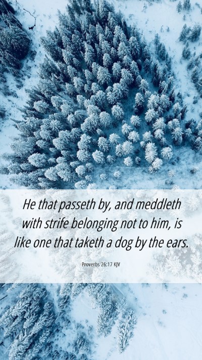 Picture 06 - Proverbs 26:17 KJV Mobile Phone Wallpaper - He that passeth by, and meddleth with strife - Mobile Bible Verse Wallpaper