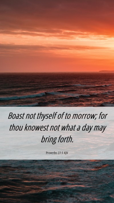 Picture 06 - Proverbs 27:1 KJV Mobile Phone Wallpaper - Boast not thyself of to morrow; for thou knowest - Mobile Bible Verse Wallpaper