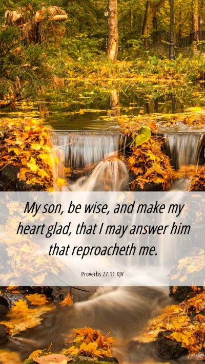 Picture 06 - Proverbs 27:11 KJV Mobile Phone Wallpaper - My son, be wise, and make my heart glad, that I - Mobile Bible Verse Wallpaper