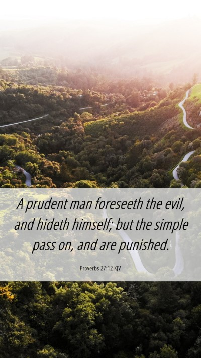 Picture 06 - Proverbs 27:12 KJV Mobile Phone Wallpaper - A prudent man foreseeth the evil, and hideth - Mobile Bible Verse Wallpaper