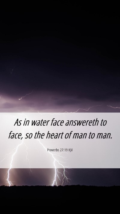 Picture 06 - Proverbs 27:19 KJV Mobile Phone Wallpaper - As in water face answereth to face, so the heart - Mobile Bible Verse Wallpaper