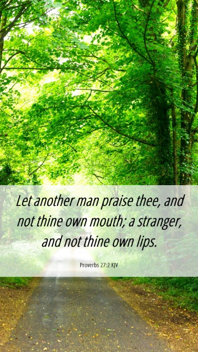 Picture 06 - Proverbs 27:2 KJV Mobile Phone Wallpaper - Let another man praise thee, and not thine own - Mobile Bible Verse Wallpaper