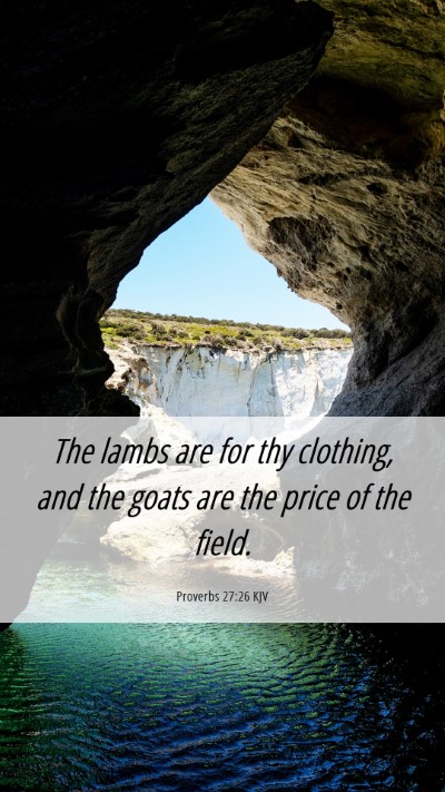 Picture 06 - Proverbs 27:26 KJV Mobile Phone Wallpaper - The lambs are for thy clothing, and the goats are - Mobile Bible Verse Wallpaper