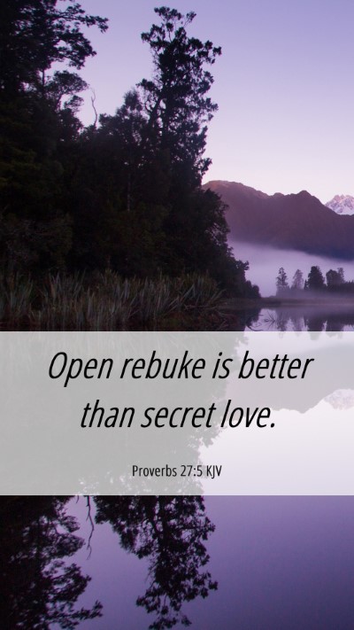 Picture 06 - Proverbs 27:5 KJV Mobile Phone Wallpaper - Open rebuke is better than secret - Mobile Bible Verse Wallpaper