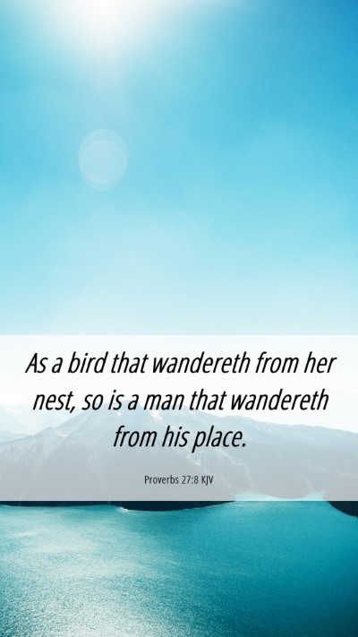 Picture 06 - Proverbs 27:8 KJV Mobile Phone Wallpaper - As a bird that wandereth from her nest, so is a - Mobile Bible Verse Wallpaper