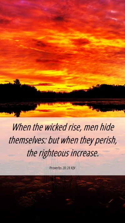 Picture 06 - Proverbs 28:28 KJV Mobile Phone Wallpaper - When the wicked rise, men hide themselves: but - Mobile Bible Verse Wallpaper