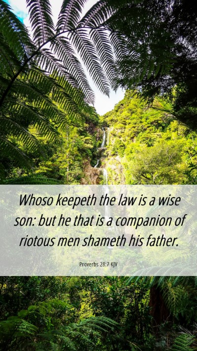 Picture 06 - Proverbs 28:7 KJV Mobile Phone Wallpaper - Whoso keepeth the law is a wise son: but he that - Mobile Bible Verse Wallpaper