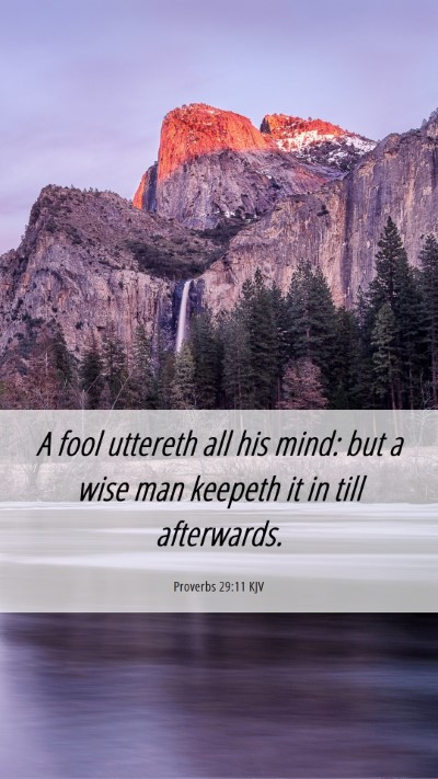 Picture 06 - Proverbs 29:11 KJV Mobile Phone Wallpaper - A fool uttereth all his mind: but a wise man - Mobile Bible Verse Wallpaper