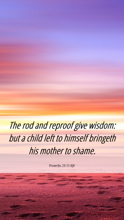 Picture 06 - Proverbs 29:15 KJV Mobile Phone Wallpaper - The rod and reproof give wisdom: but a child left - Mobile Bible Verse Wallpaper